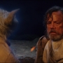 TLJ-02481.jpg