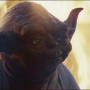 TLJ-02485.jpg