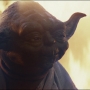 TLJ-02486.jpg