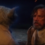 TLJ-02487.jpg