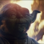 TLJ-02496.jpg