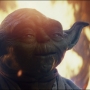 TLJ-02497.jpg