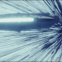 TLJ-02650.jpg