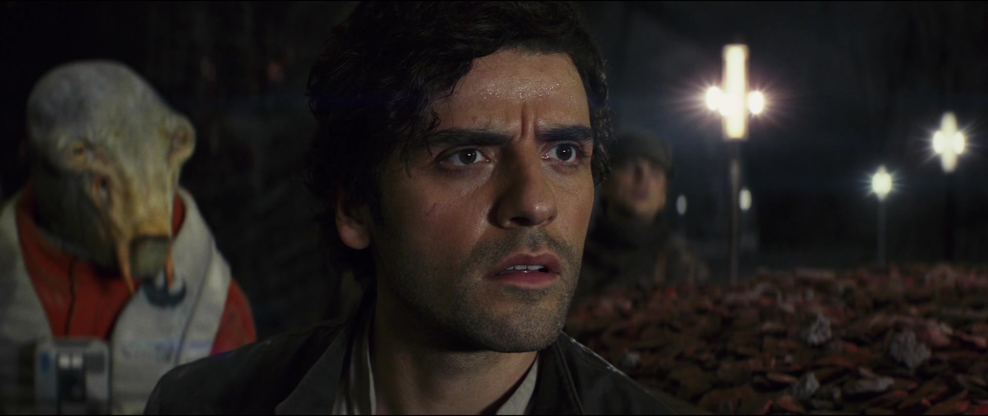 TLJ-03863.jpg