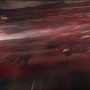 TLJ-03662.jpg