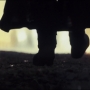 Filename=TLJ-03867.jpg
Filesize=117KiB
Dimensions=1920x808
Date added=Oct 24, 2021 TLJ-03867.jpg