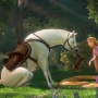 tangled-1462.jpg