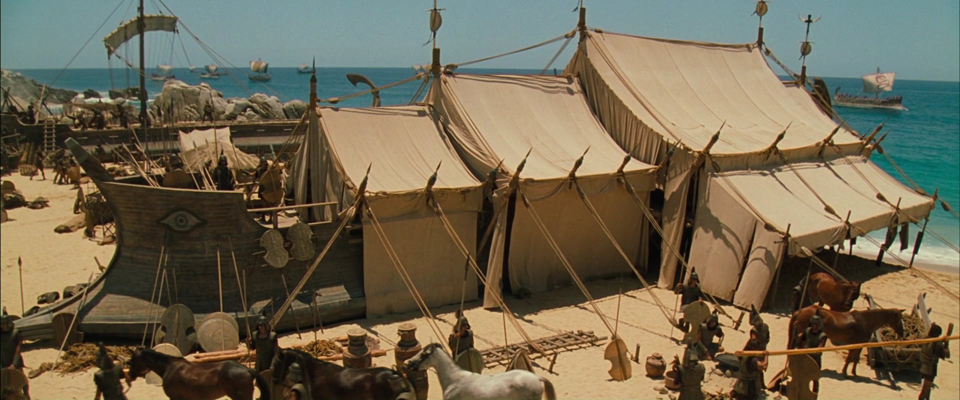 Troy0905.jpg