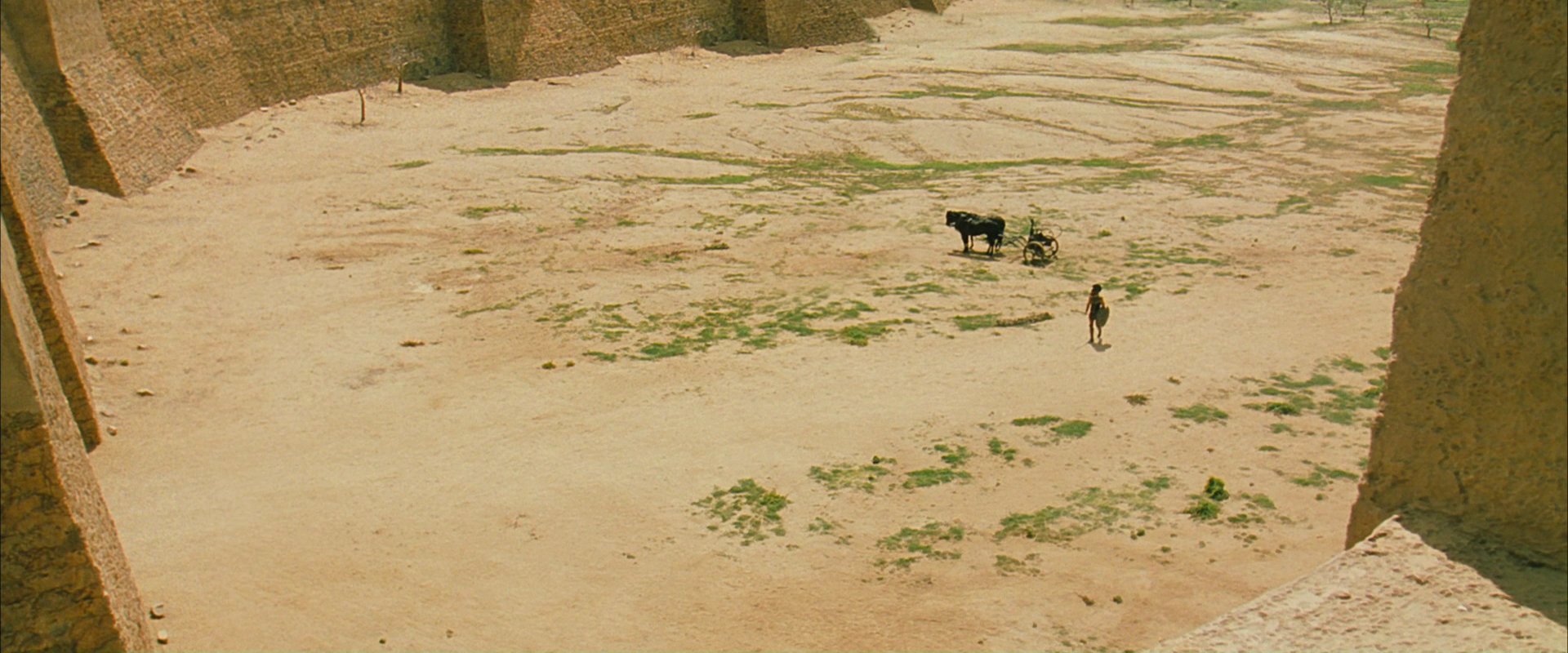 Troy1986.jpg